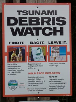 Debris watch