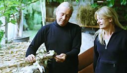 Cheating the leek moth