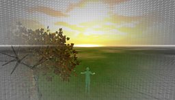Robots and Avatars