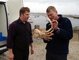 Tom's New Sea Life