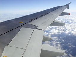 Smart Materials and Future Planes