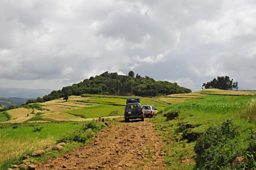 Approaching Dedresena church forest by road