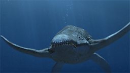 Predator X