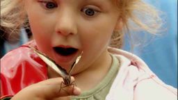 Child amazed at a butterfly's beauty