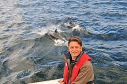 Bottlenose Dolphins