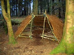 Wild hut