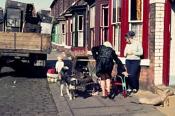 Housing, Holidays and Schools Archive 