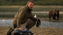 Chris Morgan watches brown bears