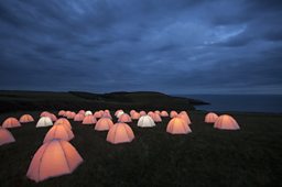 Peace Camp