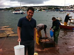 How Sand Eels have gone from bait to plate
