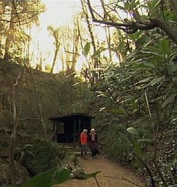 Ellie Explores Island Chines