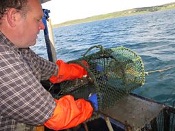 CREEL FISHING AT GAIRLOCH