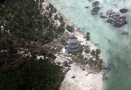 Indonesian Tsunami