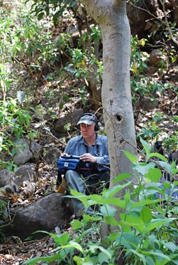 Chris Watson recording in Corbett Tiger Reserve