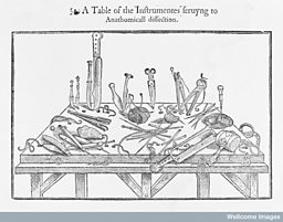 Instruments for dissection, 
