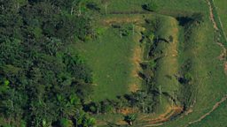 A Brazilian geoglyph emerging from the rainforest 