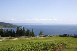 Iona on the shores of Cape Breton’s Bras d’Or Lake