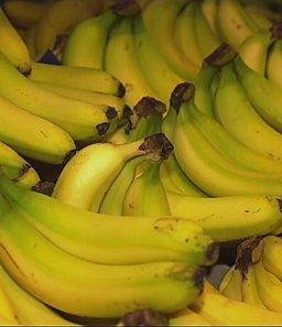 John Investigates The Carbon Footprint of Food