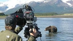 Filming bears in slow motion