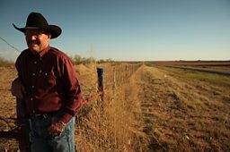 Cotton Farmer, Matt Farmer