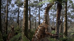 Nothronychus