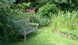 A bench upon which to ponder