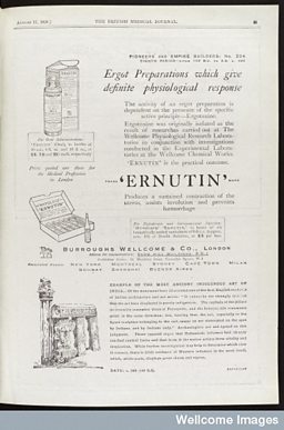 Ergot