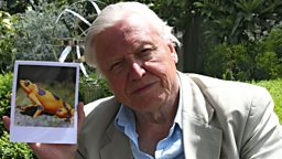 Sir David Attenborough at London Zoo