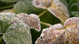 GARDEN FEATURED – DUNHAM MASSEY WITH CAROL KLEIN