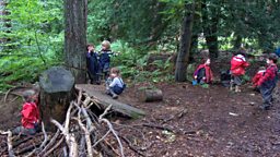 Woodland camp