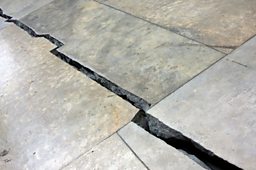 Bio Concrete