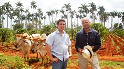 Photo: Sustainable farming in Cuba