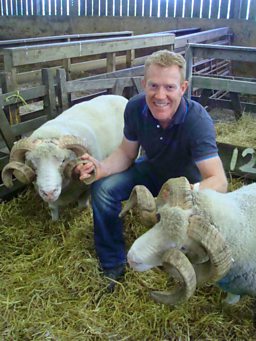 Adam Shops For Dorset Horn Sheep