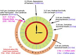 Earth clock illustrating the life of the Earth in relation to Ediacara Biota
