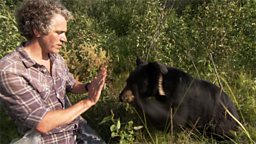 Gordon Buchanan