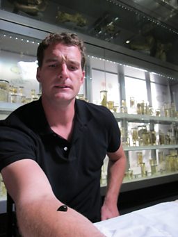Dan gets a dose of Medieval medicine