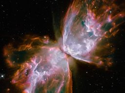 Reflections on a supernova in waiting