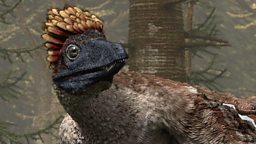 Microraptor