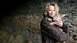 Kate Humble