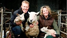 LAMBING