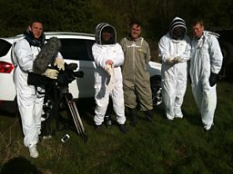 Tom Investigates The Decline Of Bees