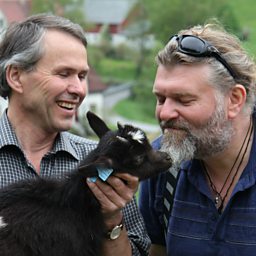 Dale goat farm in Norddal