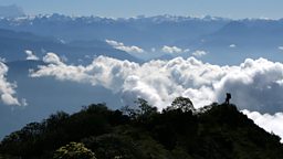 View from the top