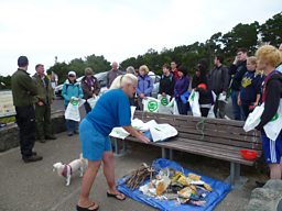Beach clean