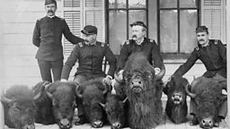 Yellowstone National Park, 1894.