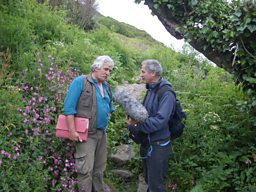 Archaeologist Graeme Kirkham explaining the history of the flower fields to producer, Julian May