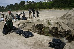 Burying the remains.