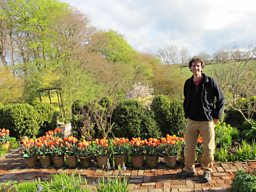 Hot Borders – Niwaki, Cloud pruning. 