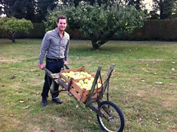 APPLES FROM THE GARDEN OF ENGLAND