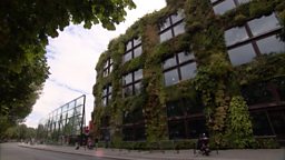 LIVING WALL AT GARDENERS’ WORLD LIVE